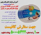 آموزش تولید تخم بلدرچین (خانه تا کارخانه)